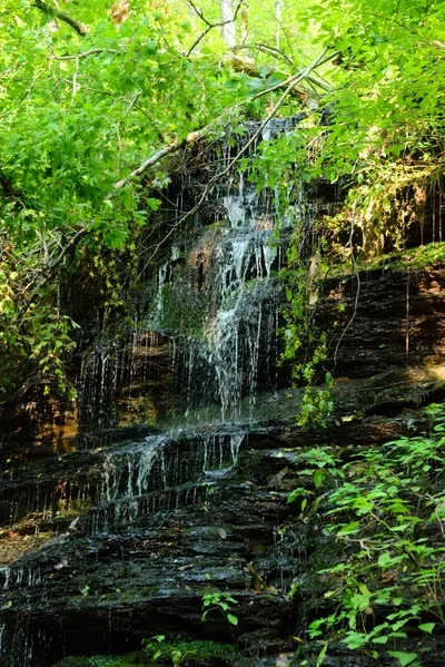 DSC_2823 (Large).JPG